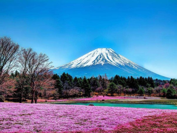 富士山