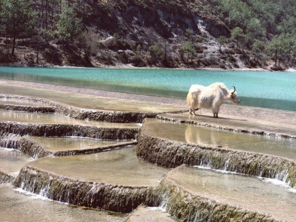 白水河