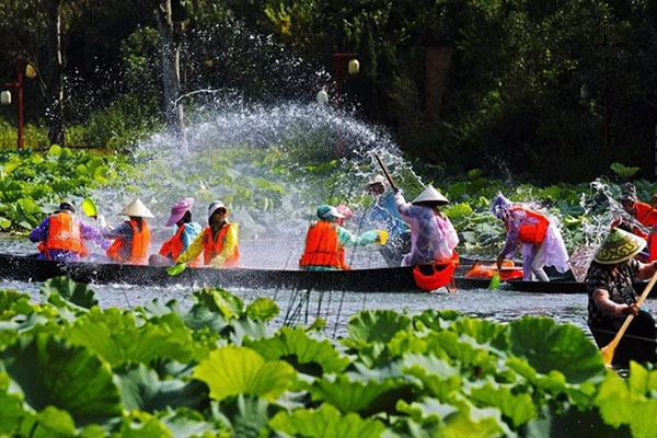 普者黑万亩荷花已盛开 与你共赴夏日之约